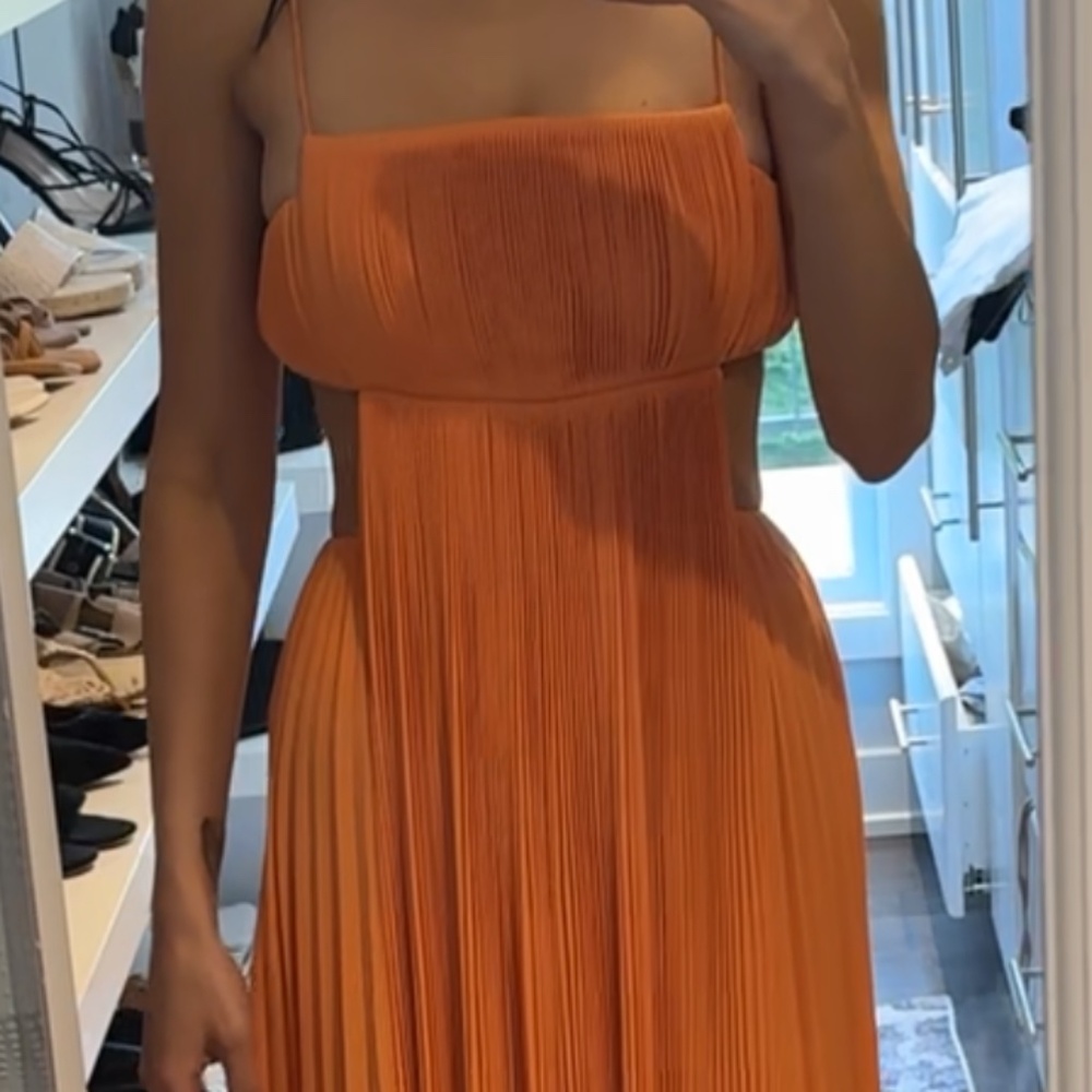Alexis Varranza Dress - Picture 10 of 11